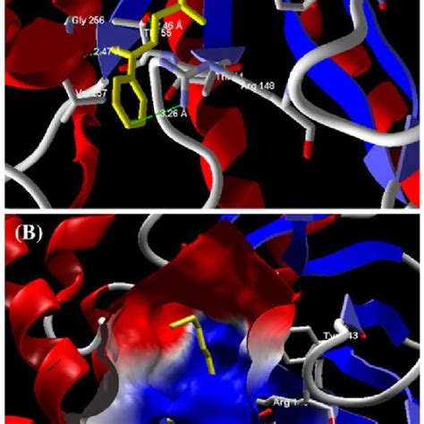 A Predicted Bonded Interactions Green Dashed Lines Between 2mhi