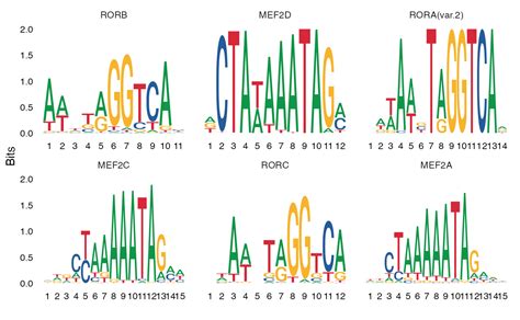 Motif Analysis With Signac Signac