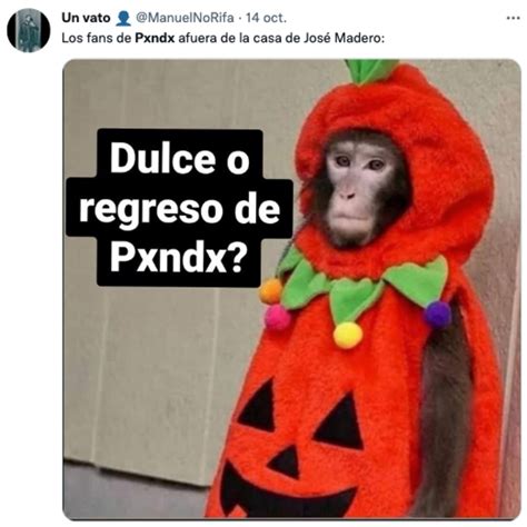 Pxndx Da Se Ales De Vida Y Los Memes M S Chavorrucos Ruegan Por Una