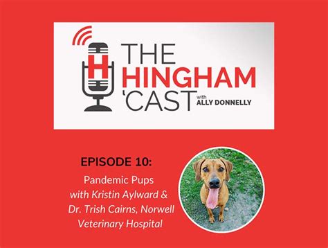 Pandemic Pets Podcast Norwell Veterinary Hospital