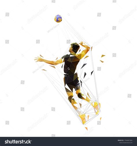 Volleyball Player Low Poly Isolated Vector Stock Vector Royalty Free