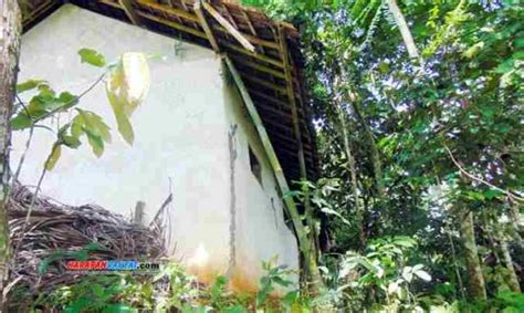 Kasihan Rumah Warga Ciamis Ini Nyaris Ambruk Harapan Rakyat