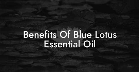 Benefits Of Blue Lotus Essential Oil - Pure Blue Lotus Oil