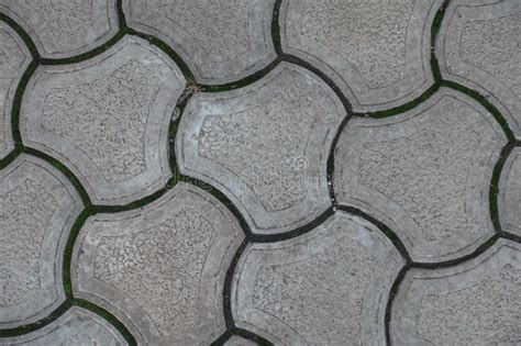 Closeup Of Rounded Gray Concrete Interlocking Paver Blocks Stock Photo