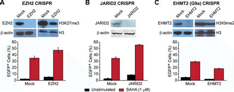 Crispr Mediated Depletion Of Ezh2 Or Jarid2 Reactivates Latent Hiv 1 In