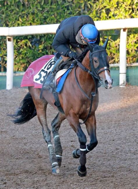 【金鯱賞】プログノーシス 重賞初vへ視界良好 過去4戦4勝川田と3戦ぶりのコンビ Spread