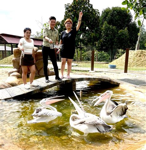 Get Ticket The Bentong Farm Ticket In Pahang Promo Prices