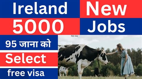 Ireland Working Visa For Nepali How To Apply Ireland Work Visa From