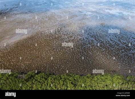 Mud Patterns On Beach East Guyana Stock Photo Alamy