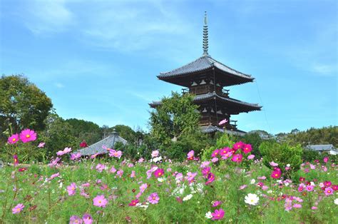 日本の世界遺産特集（1）「法隆寺地域の仏教建造物（奈良県）」