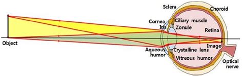 Gullstrand Schematic Eye Schematic Illustration Of Gullstran