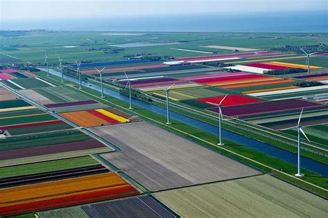 Netherlands Tulip Fields From Above | Most beautiful places in the ...