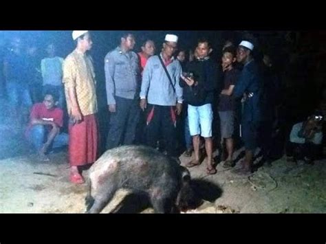 Detik Detik Manusia Jadi Babi Ngepet Malam Satu Suro Youtube