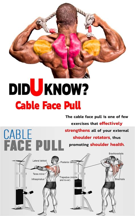 Face pulls workout area - molimgmt