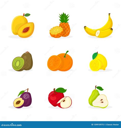 Tropical Fruits Vector Illustrations Set Stock Vector Illustration Of