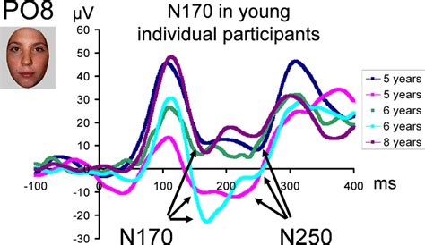 Frontiers Early Visually Evoked Electrophysiological Responses Over The Human Brain P1 N170