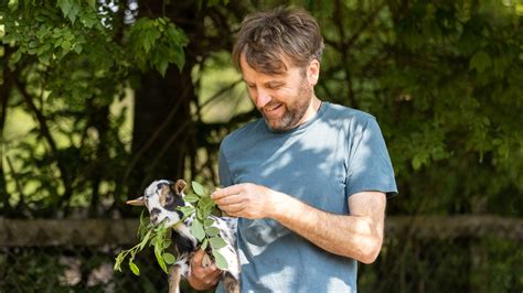 Zuwachs In Bremens B Rgerpark Bunte Ferkel Und Ein Tapetenwechsel