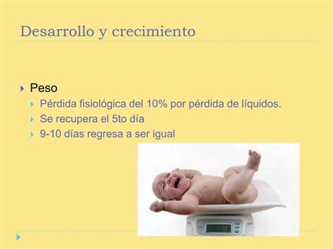 Características del recién nacido normal PPT