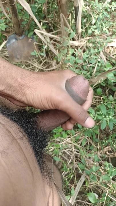 All Nude Boy Masturbating In Sugarcane Field Gay Blowjob Porn Feat Desi X Vlog XHamster