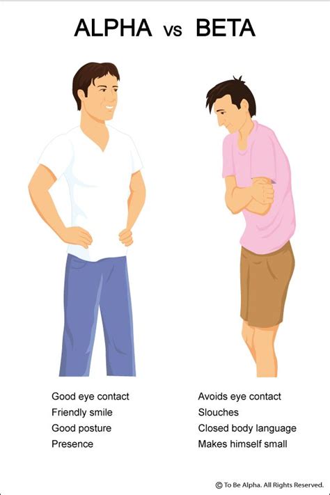 What Is Alpha Body Language