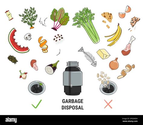 Infographie sur l éliminateur de déchets alimentaires pour la cuisine à