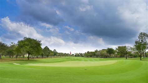 A View Landscape Green Grass At Golf Course Big Trees With Sunlight