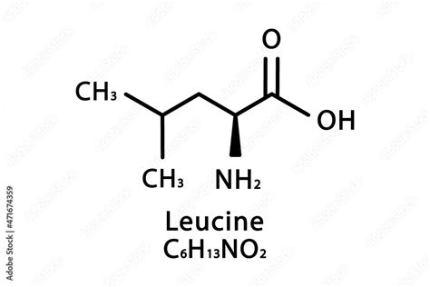 Leucine Molecular Structure Leucine Skeletal Chemical Formula