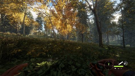 Screenshot TheHunter CotW Ultra Realism Graphics The Hunter Call