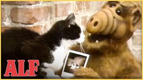 Lucky The Cat Is Missingalf To The Rescue S1 Ep3 Clip Youtube