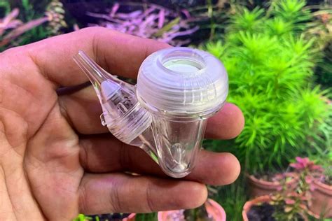 Best Co Diffusers For Planted Aquariums Of