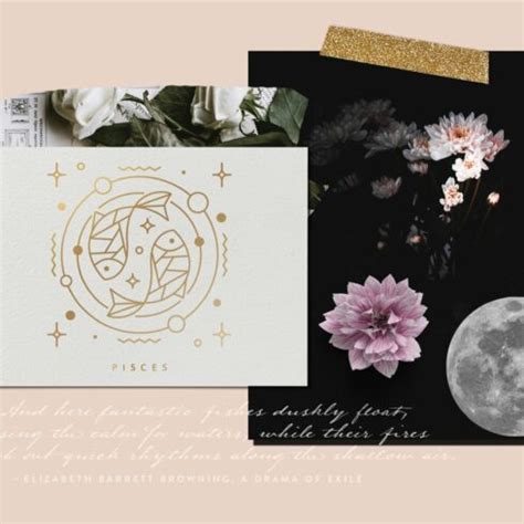 Zodiac Signs And Constellations Masterbundles