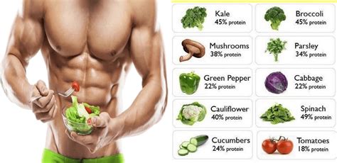 Top Muscle Building Vegetables You Should Be Eating For Bodybuilding