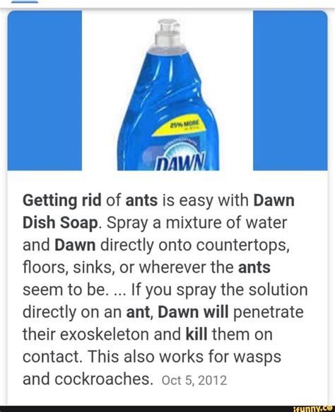 Getting Rid Of Ants Is Easy With Dawn Dish Soap Spray A Mixture Of