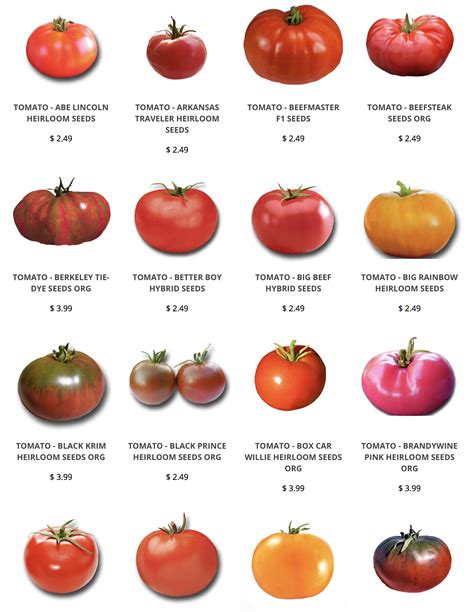 Heirloom Tomato Seeds Heirloom Tomato Seeds Heirloom Tomatoes