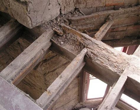 Whats The Difference Between Wet Rot And Dry Rot Specialist Advice