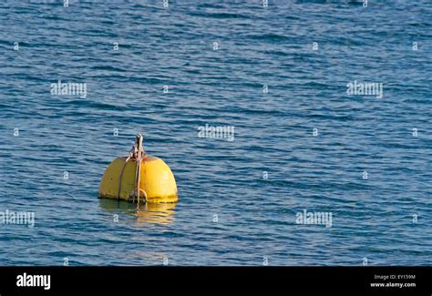 Yellow Buoy Floating In The Sea Stock Photo Alamy