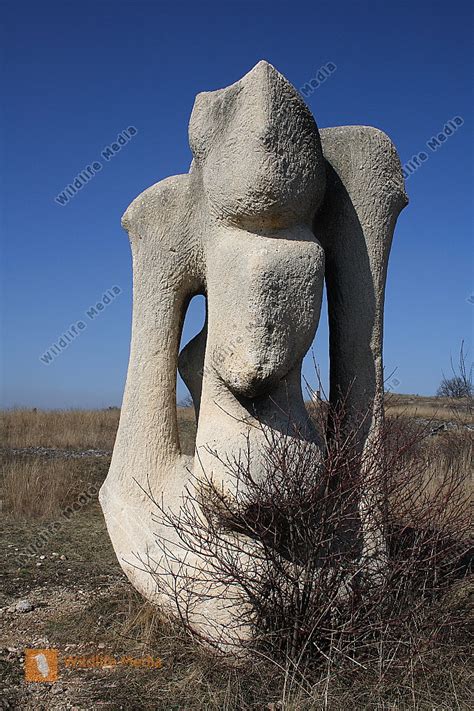 Steinskulptur Bild Bestellen Naturbilder Bei Wildlife Media