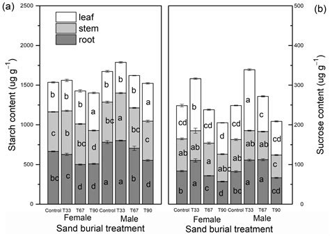 Forests Free Full Text Sex Related Ecophysiological Responses Of