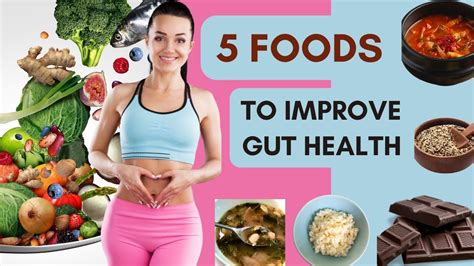 5 FOODS TO FIX YOUR GUT Gut Health Probiotics YouTube