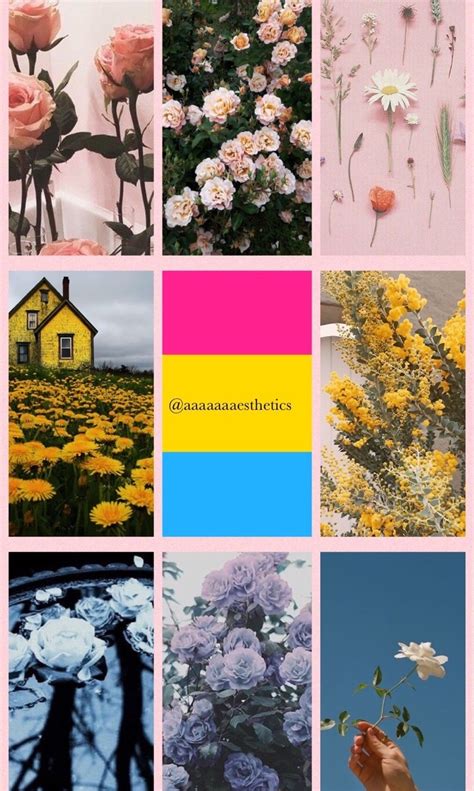 Lgbt Aesthetics Nature Pansexual Wallpaper Aesthetic Requested