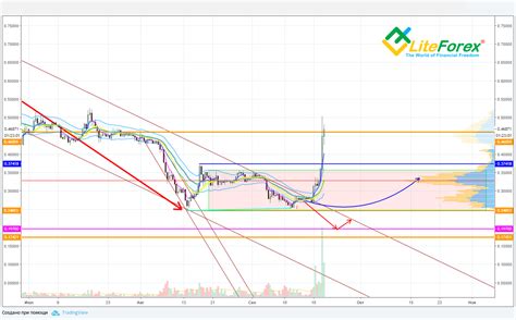 Is Xrp Going To Rise Today Why Did Xrp Crash Today Why Did Xrp