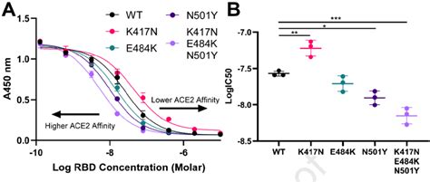 Rbd Variant Of Concern Substitutions Alter Ace2 Binding Affinity A