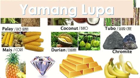 yamang lupa halimbawa mga likas na yaman  produkto sa aking