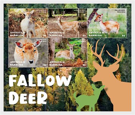 Fallow Deer Antigua And Barbuda Stamps Worldwide Stamps Coins