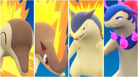 Full Cyndaquil Evolution Team Shiny Cyndaquil Quilava Typhlosion