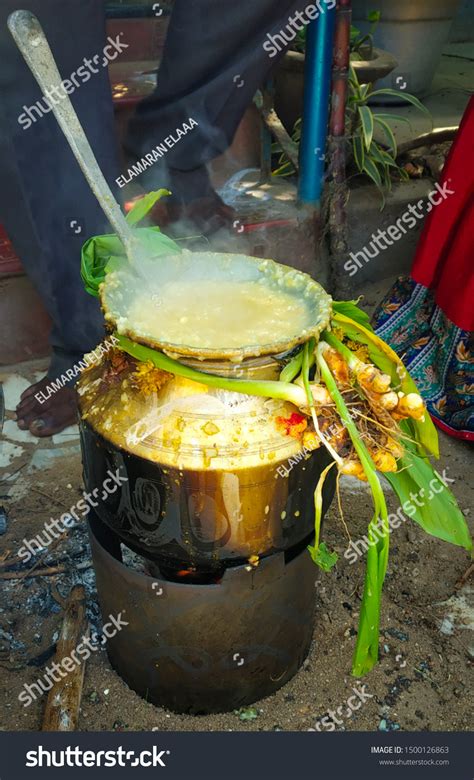 Traditional Thai Pongal Festival Celebration Harvest Stock Photo ...