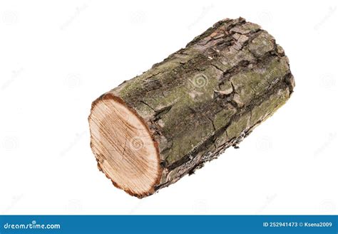 Chopped Oak Firewood Isolated Stock Image Image Of Softwood Split