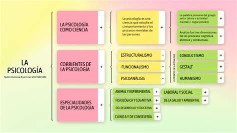 Cuadro SinÓptico PsicologÍa