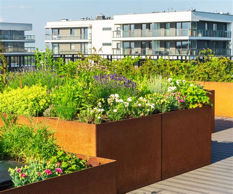 Easy Urban Garden Ideas To Bring Joy To Tiny Apartments | Gardening