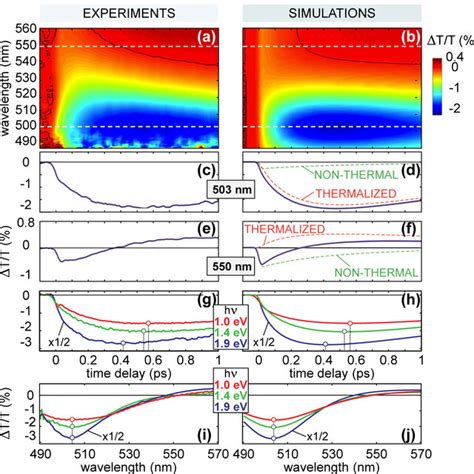 Photoinduced Relaxation Processes In A Plasmonic Nanostructure